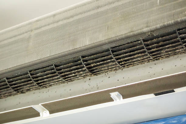 Best Best Air Duct Cleaning Company  in Mount Pleasant, TN