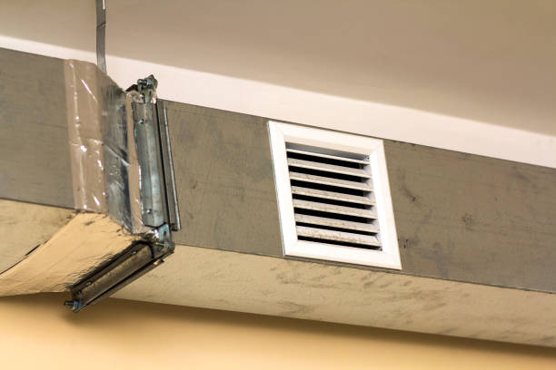 Air Duct Mold Removal in Mount Pleasant, TN